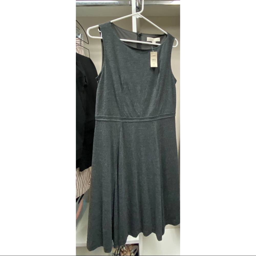 NWT Ann Taylor Loft Gray Dress 10 P